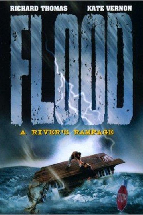 Flood: A River's Rampage (1997) poster