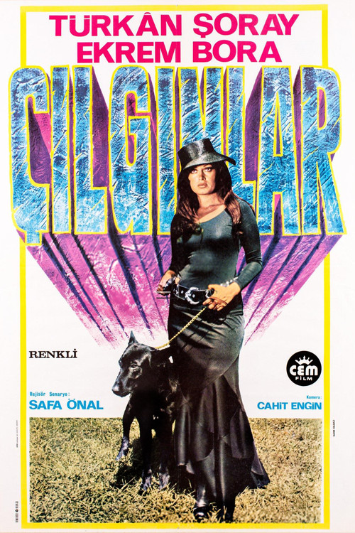 Crazy People (1974) poster