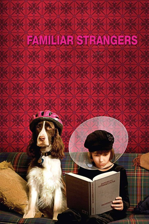 Familiar Strangers (2008) poster
