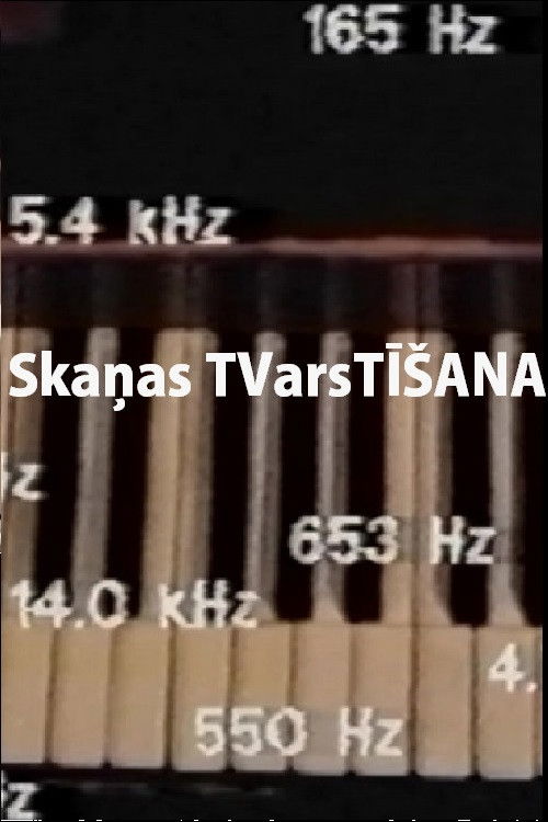 Skaņas TVarsTĪŠANA (1993) poster