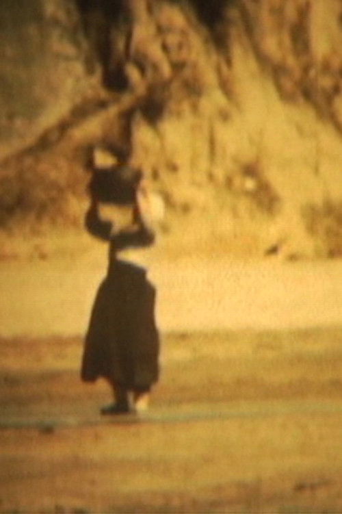 Dangerous Supplement (2005) poster