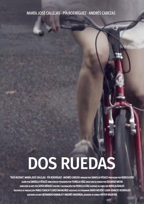 Dos Ruedas (2017) poster