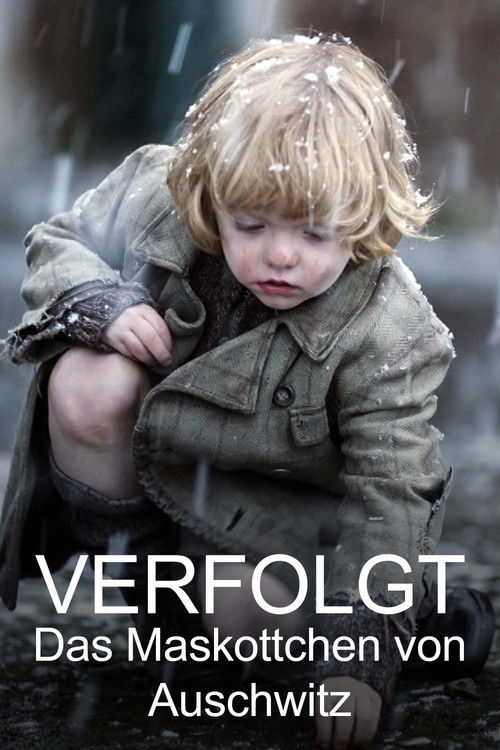 Verfolgt - Die sieben Leben des Dany Dattel (2024) poster