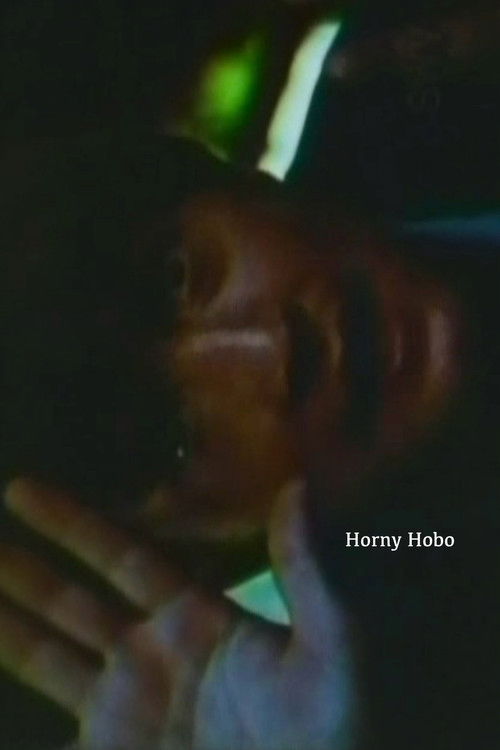 Horny Hobo (1969) poster