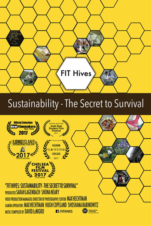 FIT Hives: Sustainability - The Secret to Survival (2017) poster