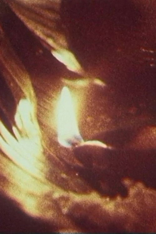 Die Hexer von Veyangoda (1969) poster