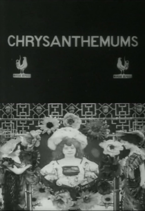 Chrysanthemums (1907) poster