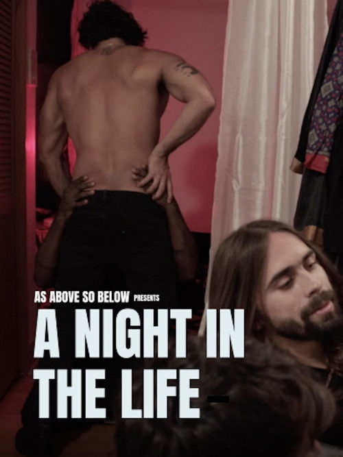 A Night in the Life (2025) poster
