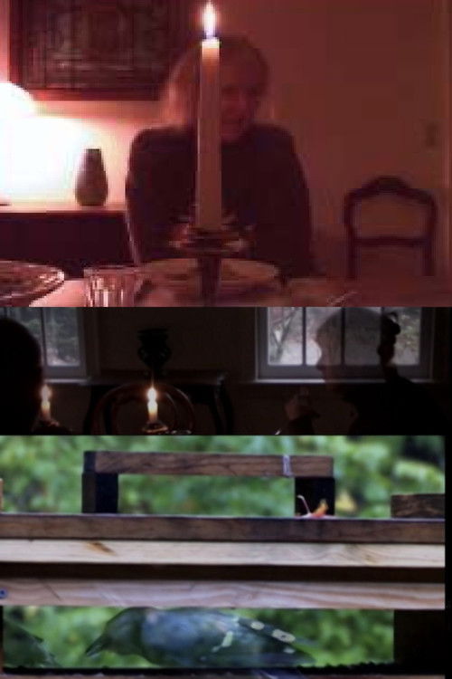 The Bird Feeders (2008) poster