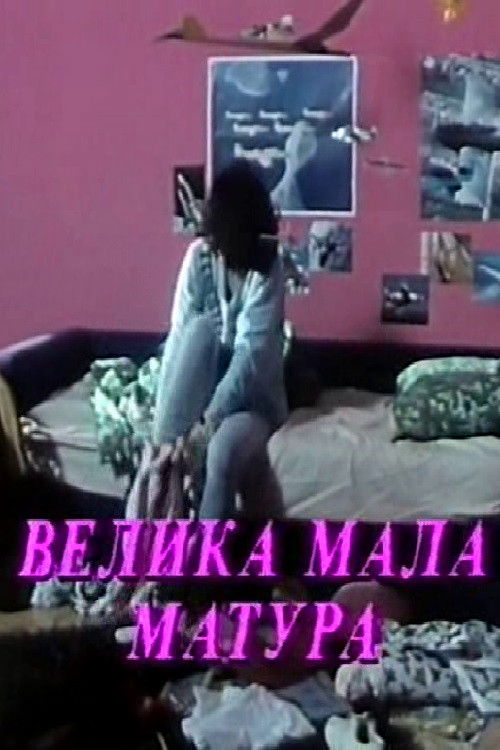 The Big Small Prom (1991) poster