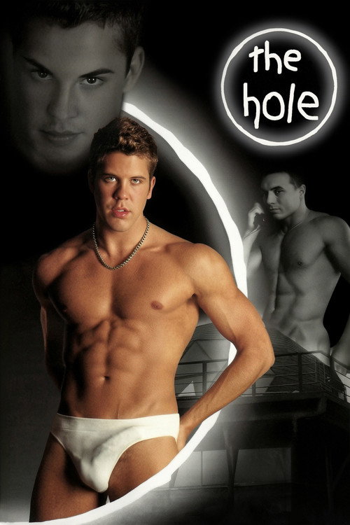 The Hole (2004) poster