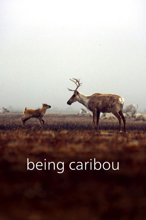 Being Caribou (2005) poster