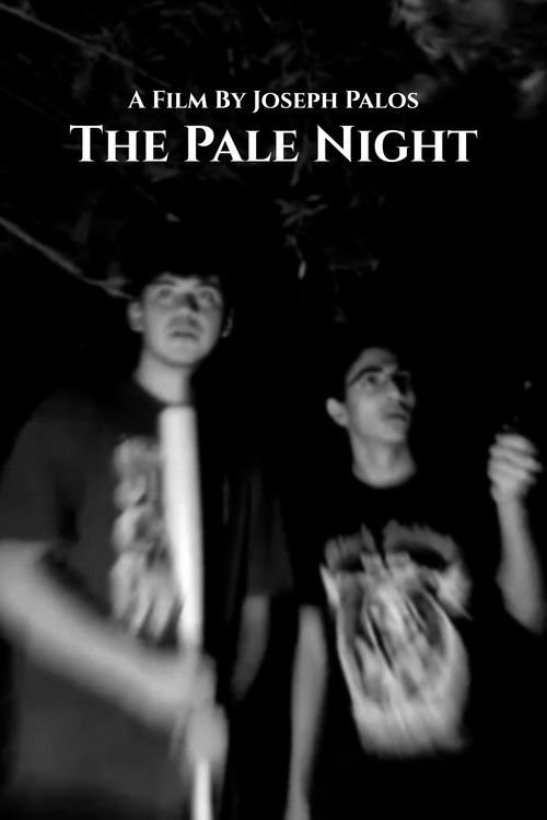 The Pale Night (2023) poster