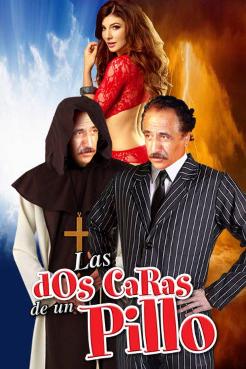 Las dos caras de un pillo (1992) poster