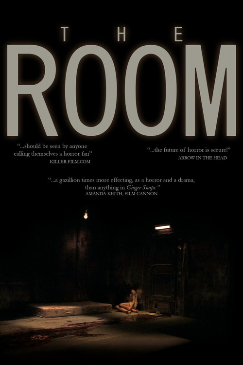 The Room (2007) poster