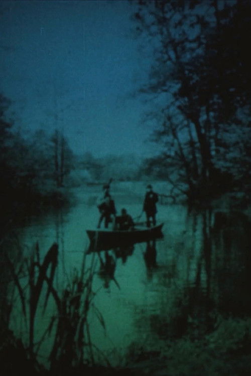 Videokaseta (1976) poster