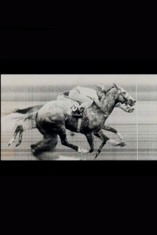 Final con foto (2003) poster