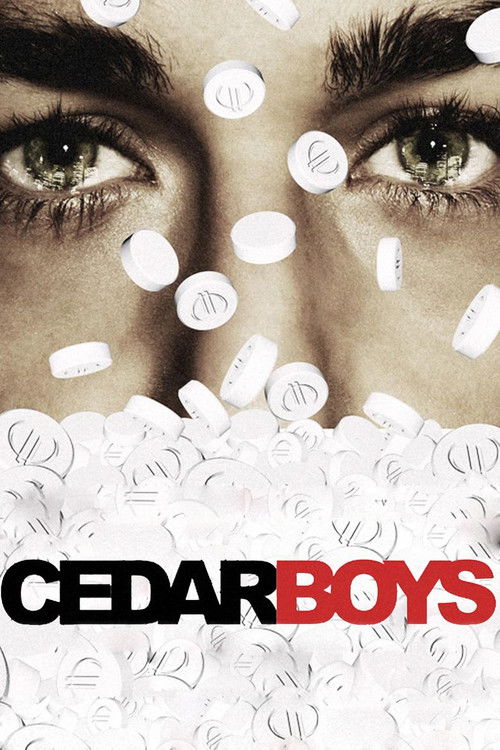 Cedar Boys (2009) poster