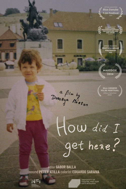 How did I get here? (2024) poster