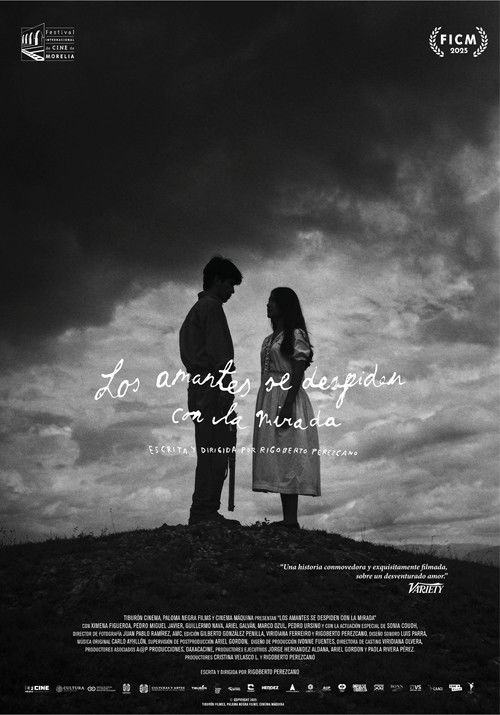 Lovers bid farewell with a glance (2025) poster