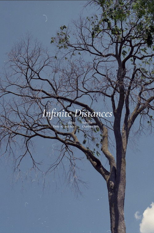 Infinite Distances (2022) poster