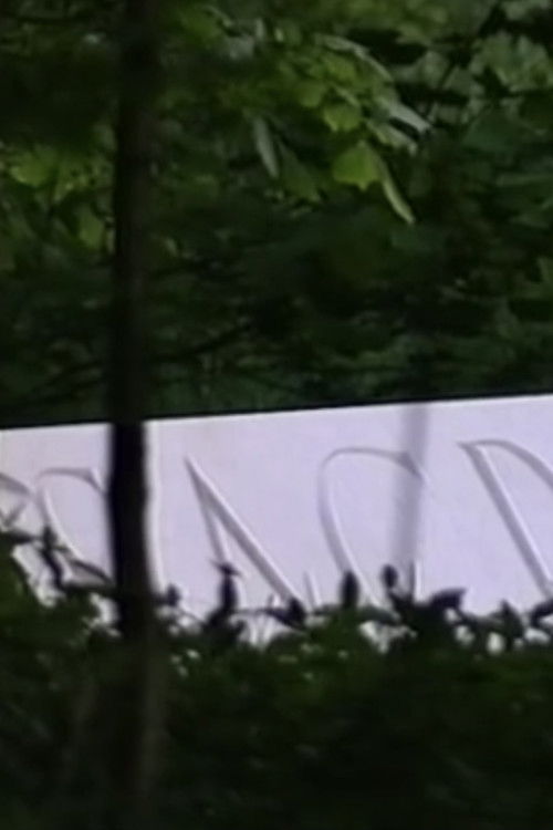 In Stillness and in Silence (Sacred) (1998) poster