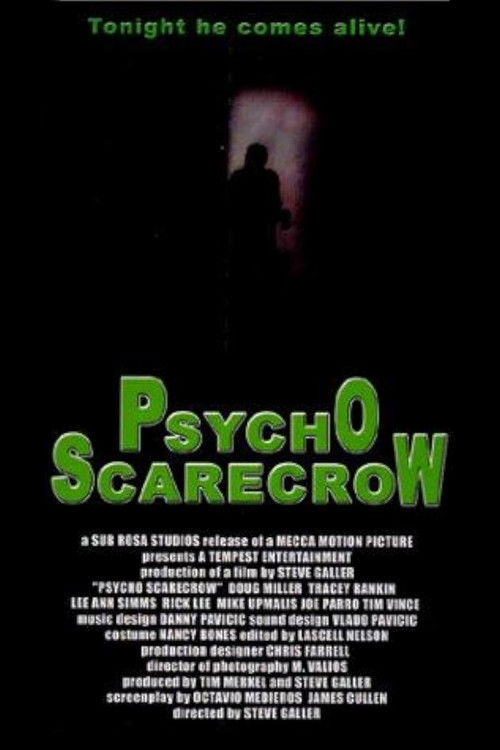 Psycho Scarecrow (1996) poster