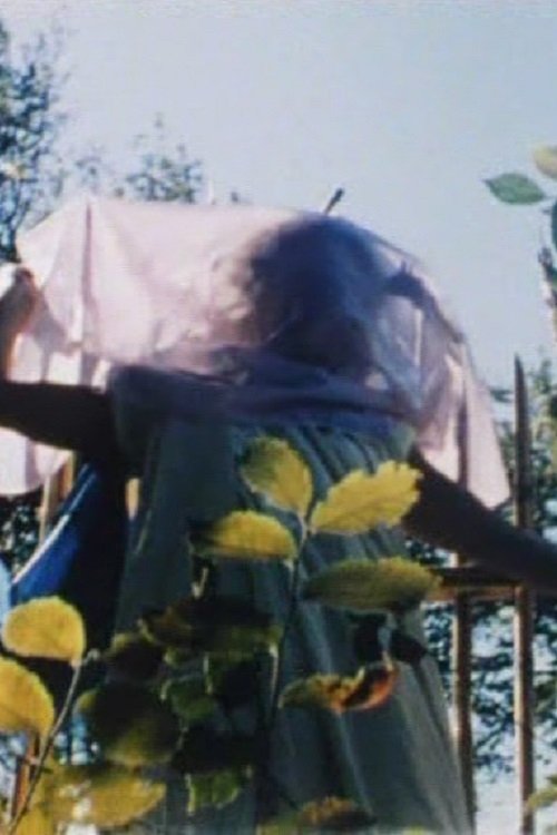 Anna-Stina Ehrenfeldt: Painter (1999) poster