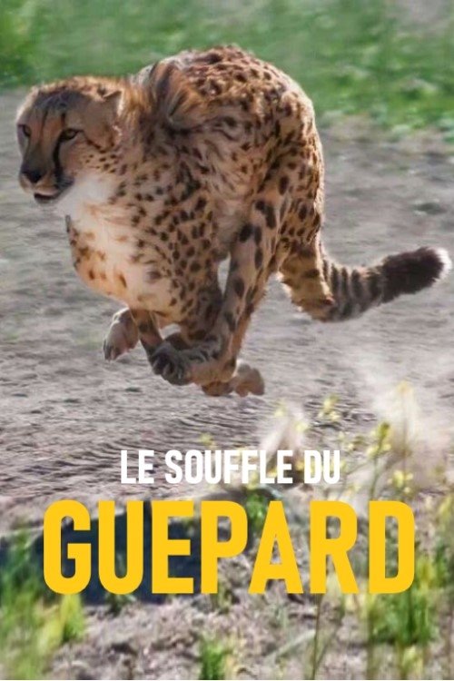 Le souffle du guépard (2018) poster