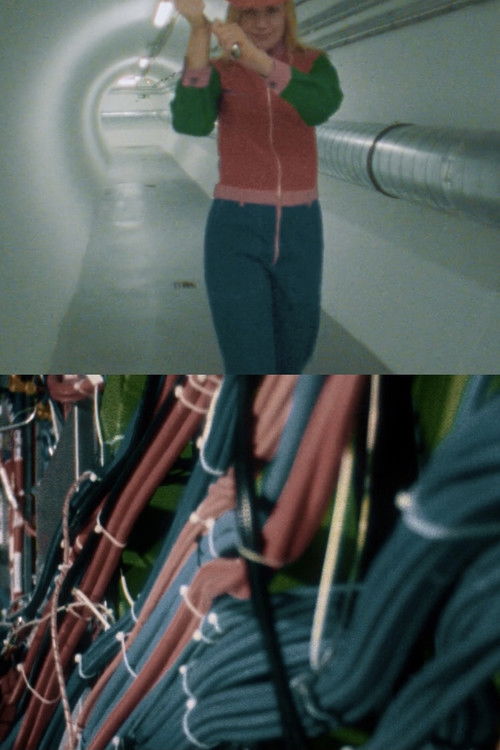 Electric Storm: 100 Years of Theremin (2020) poster