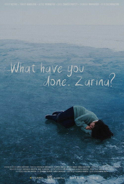 What have you done, Zarina? (2025) poster