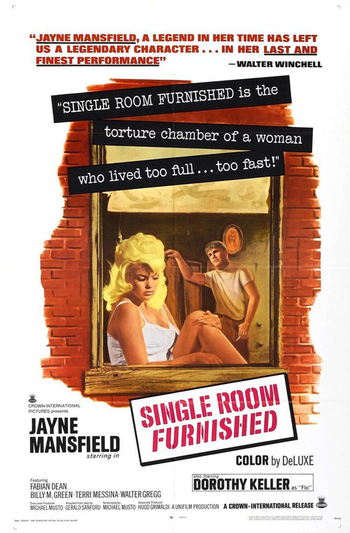 Single Room Furnished (1968) poster