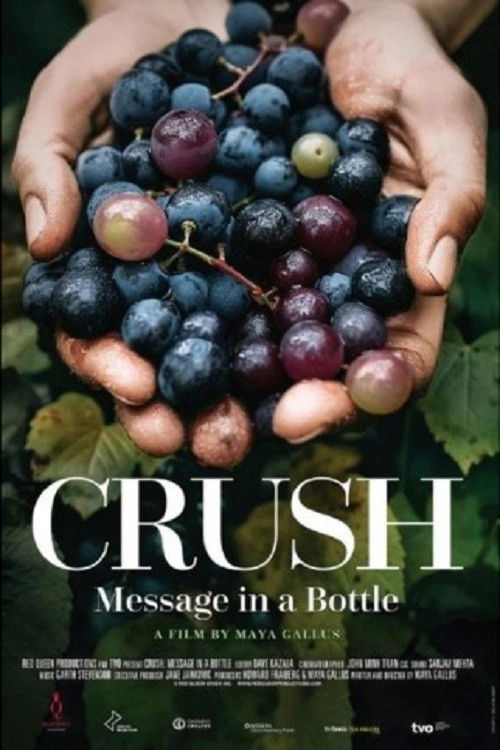 Crush: Message in a bottle poster