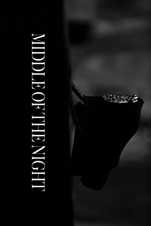 Middle of the Night (2015) poster