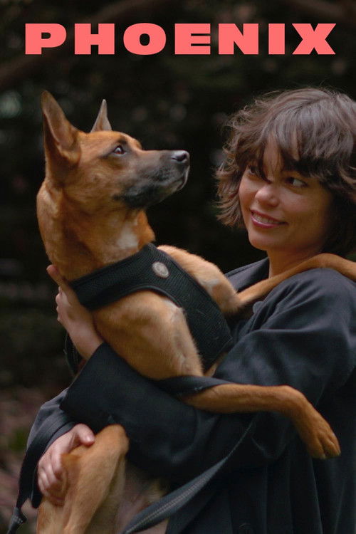 Phoenix (2023) poster