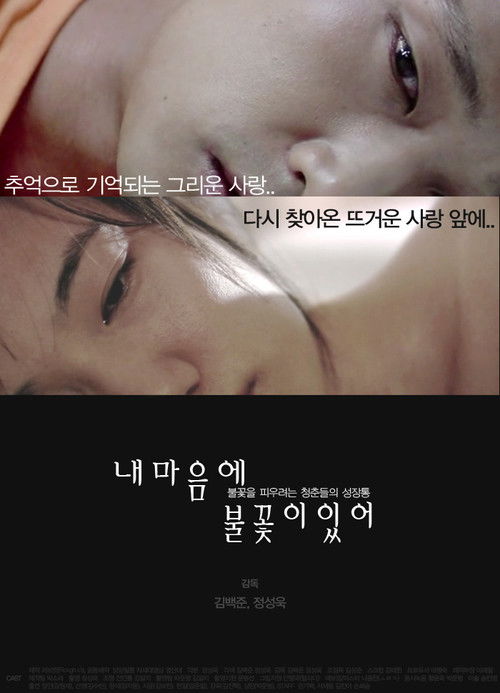 My Dear Diary (2008) poster