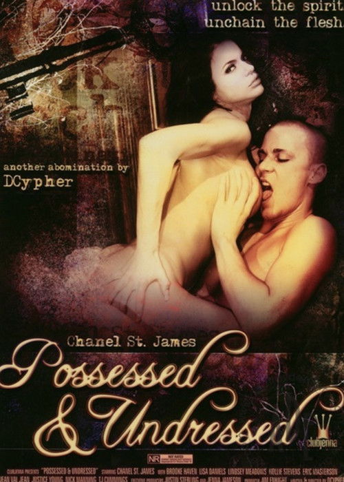 Possessed & Undressed (2008) poster