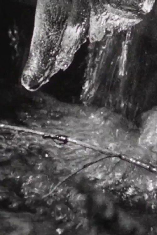 The River Flows to the Sea (2019) poster