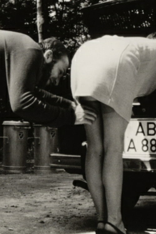 Zipzibbelip (1968) poster