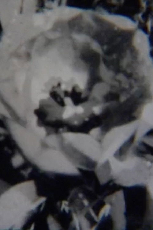 Untitled II (2019) poster