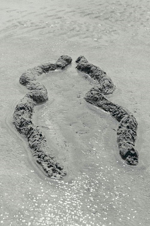 Ochún (1981) poster