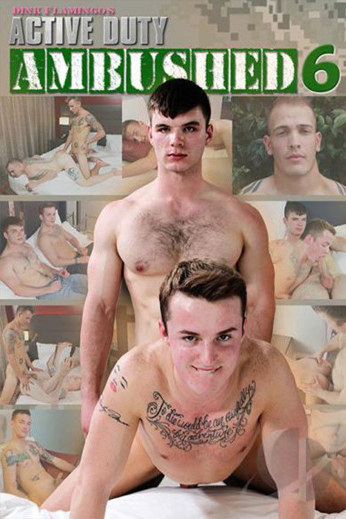 Ambushed 6 (2016) poster