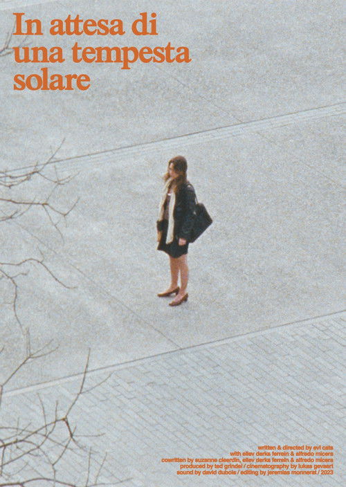 Waiting for a Sun Storm (2023) poster