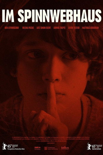 Spiderwebhouse (2015) poster