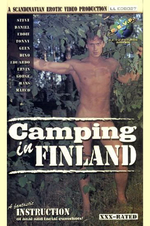 Camping in Finland (2002) poster