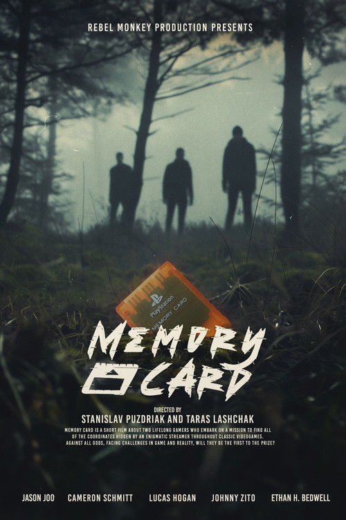Memory Card (2024) poster