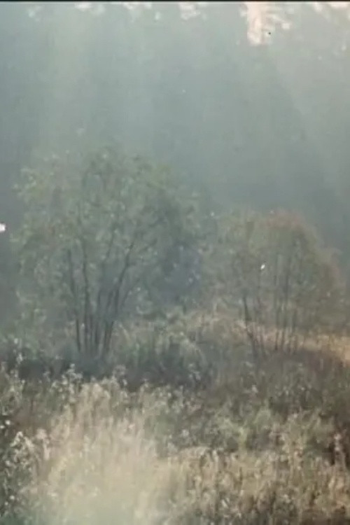 The Cherry Orchard (1993) poster