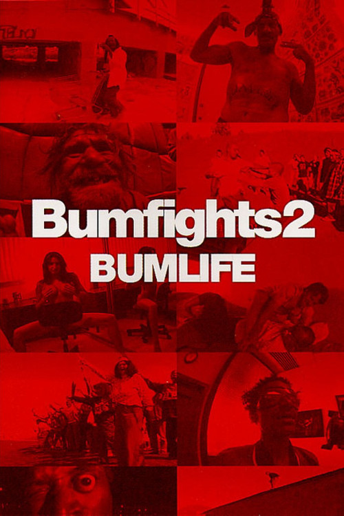 Bumfights Vol. 2: Bumlife (2003) poster