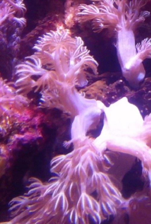 Blueprint of Moving Image (2013) poster