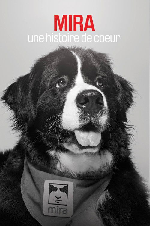 Mira, une histoire de cœur (2016) poster